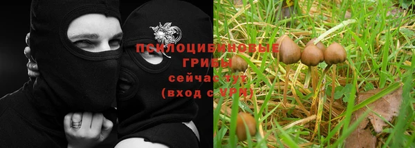 jwh Дмитриев