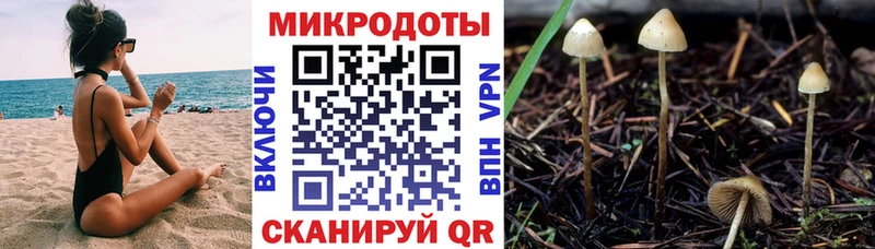 Галлюциногенные грибы ЛСД Купить Темрюк